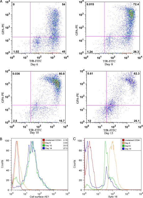 FIGURE 1.