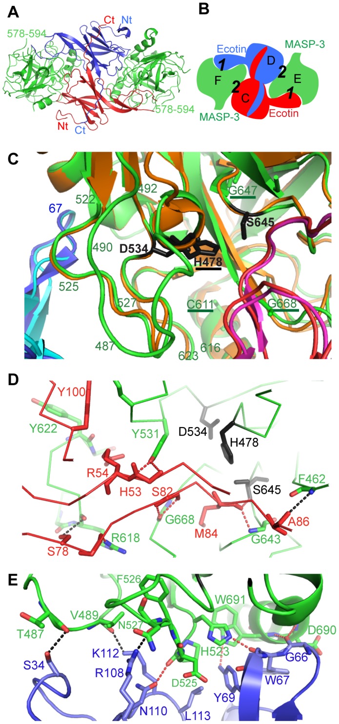 Figure 5