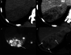 Fig. 20
