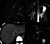 Fig. 9