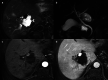 Fig. 28