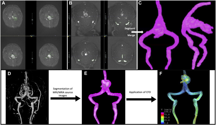 FIGURE 3