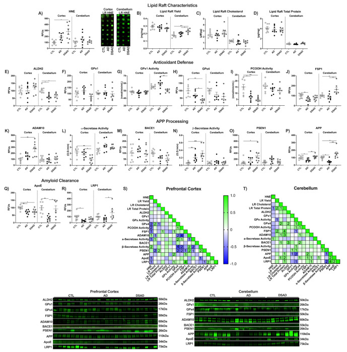 Extended Figure 6: