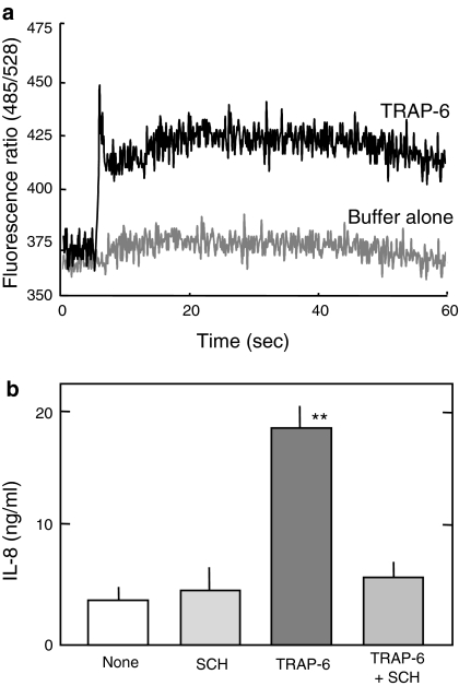 Fig. 2