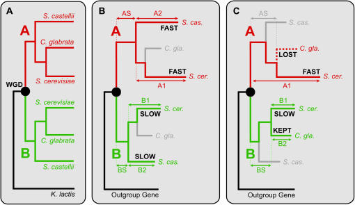 Figure 1.—