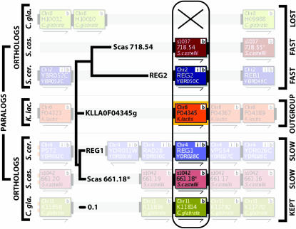 Figure 2.—