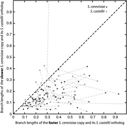 Figure 4.—