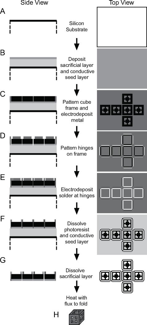 Fig. (12)