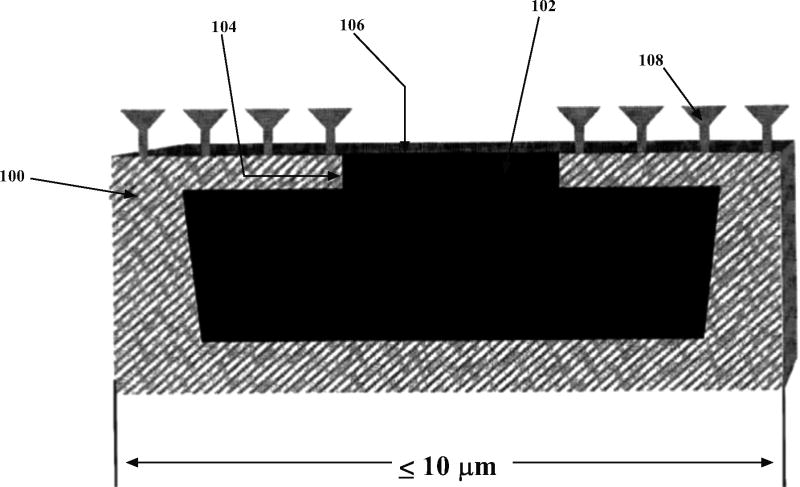 Fig. (10)