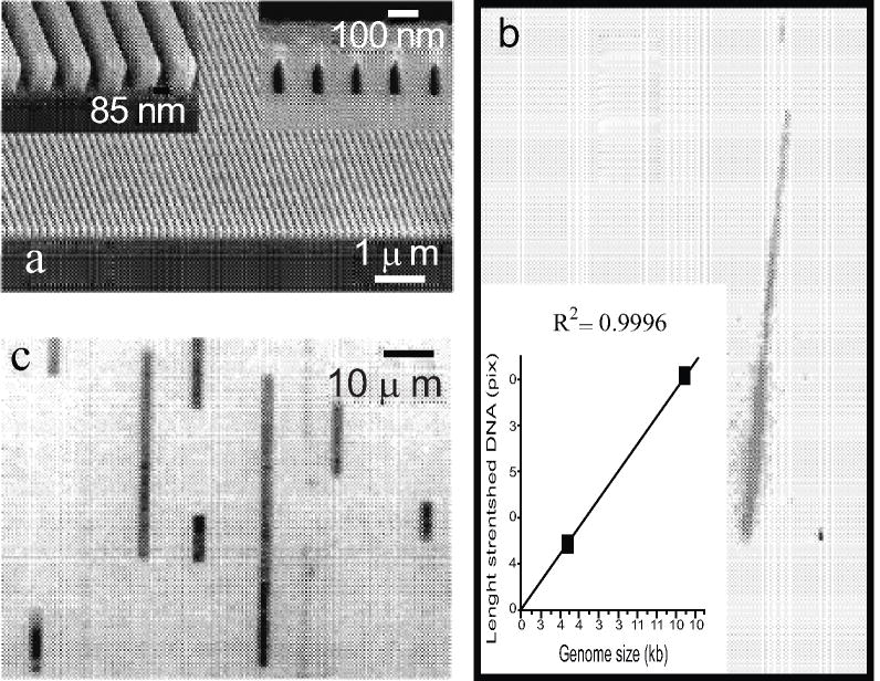 Fig. (2)