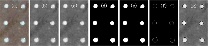 Figure 12