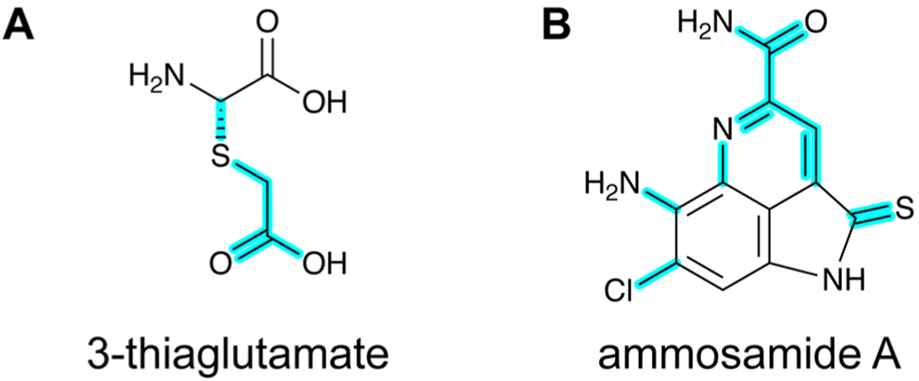 Fig. 16.