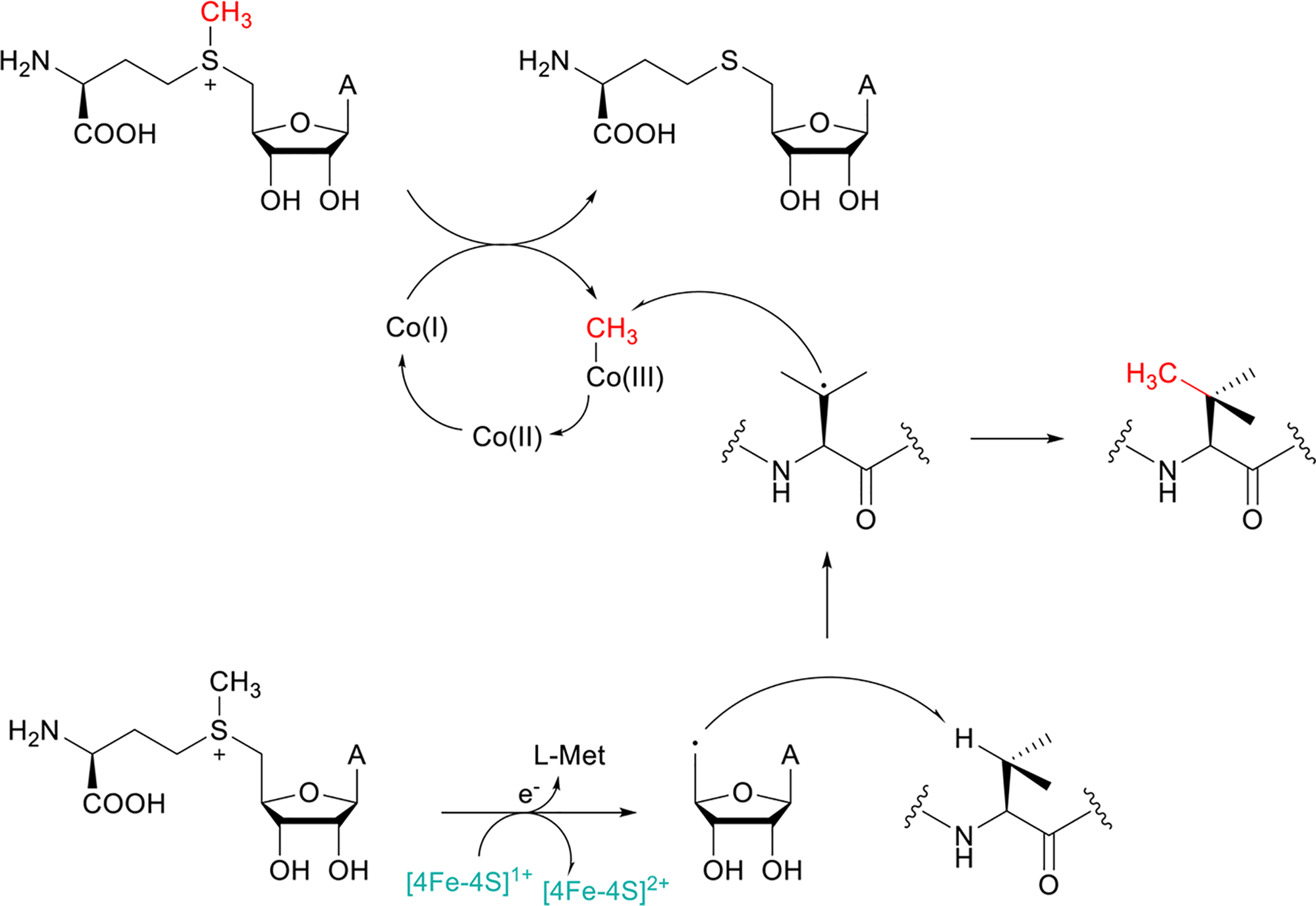 Fig. 81.