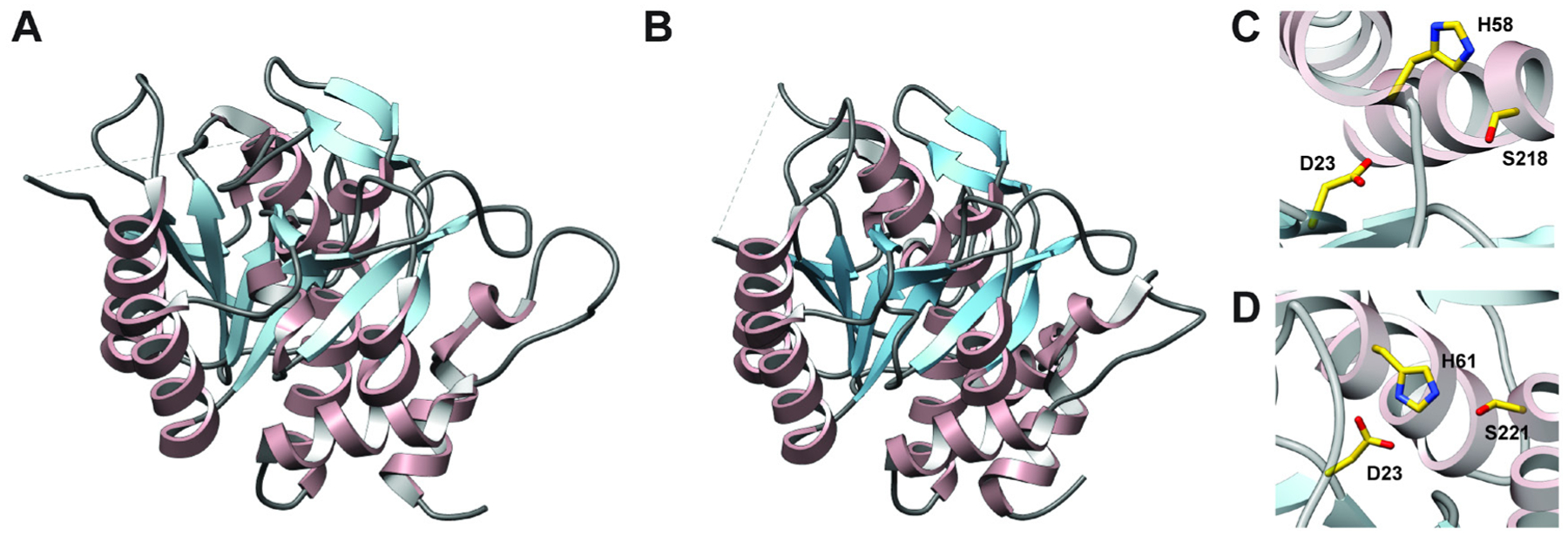Fig. 36.