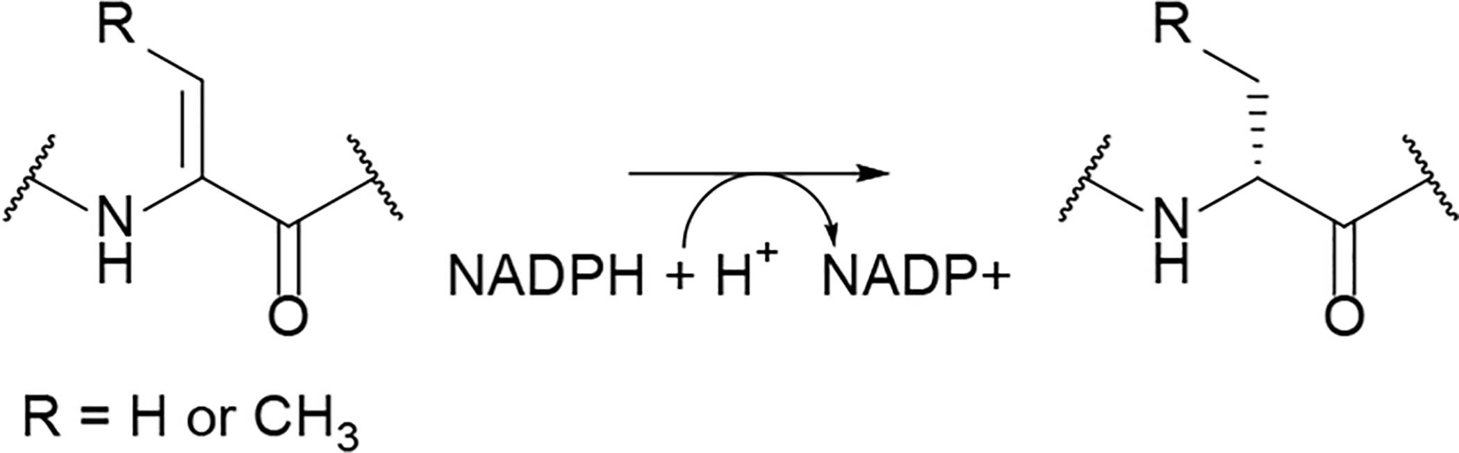 Fig. 78.
