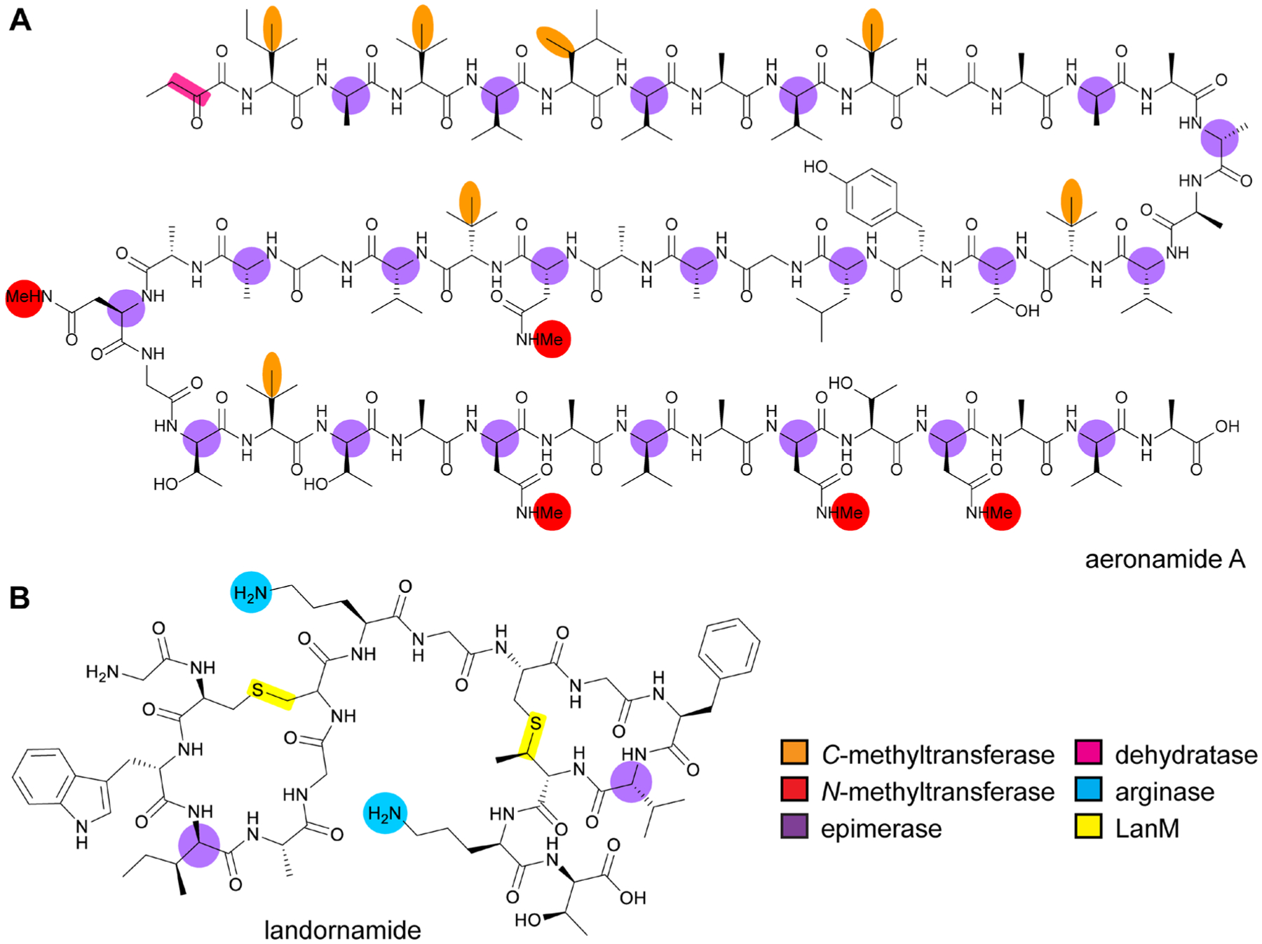 Fig. 48.
