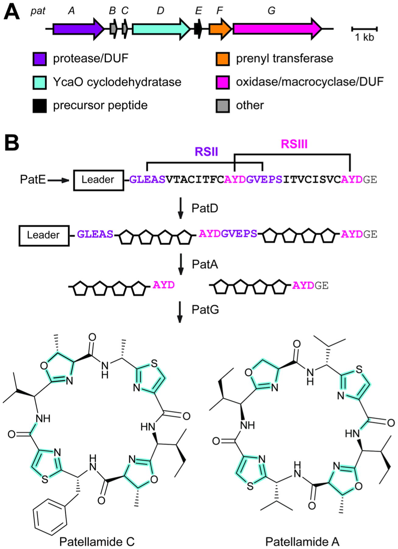 Fig. 35.
