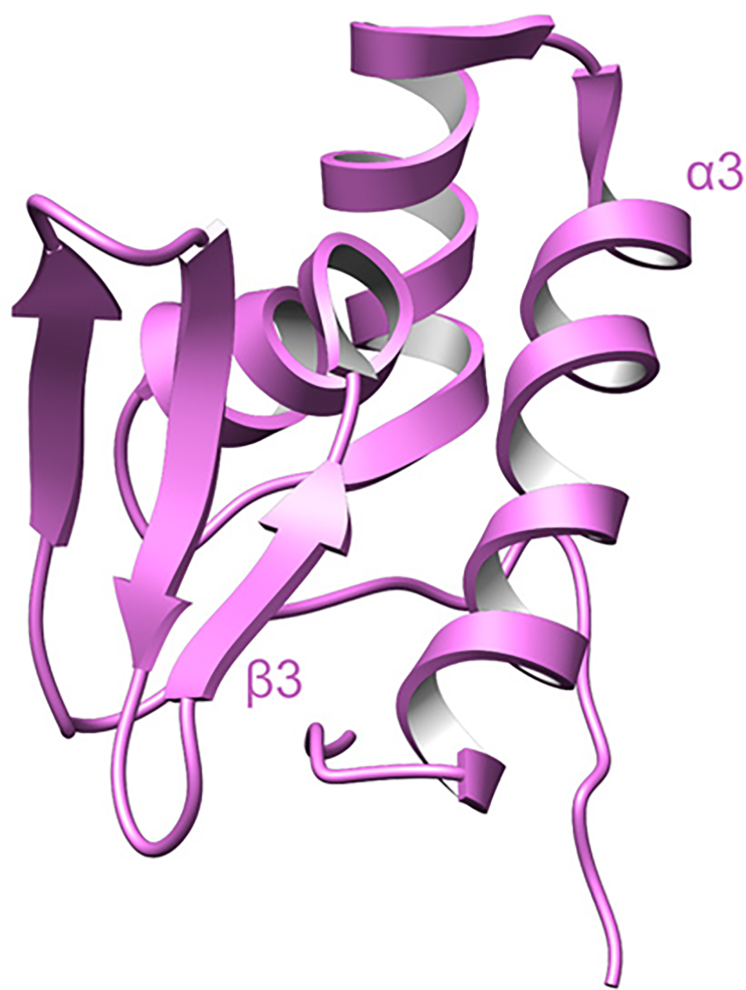 Fig. 67.
