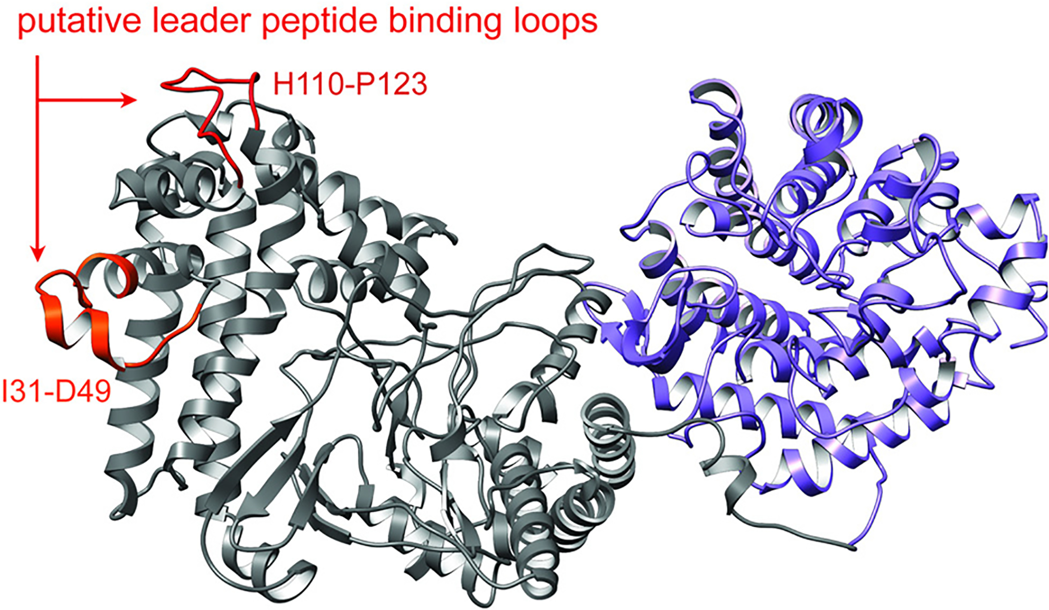 Fig. 72.