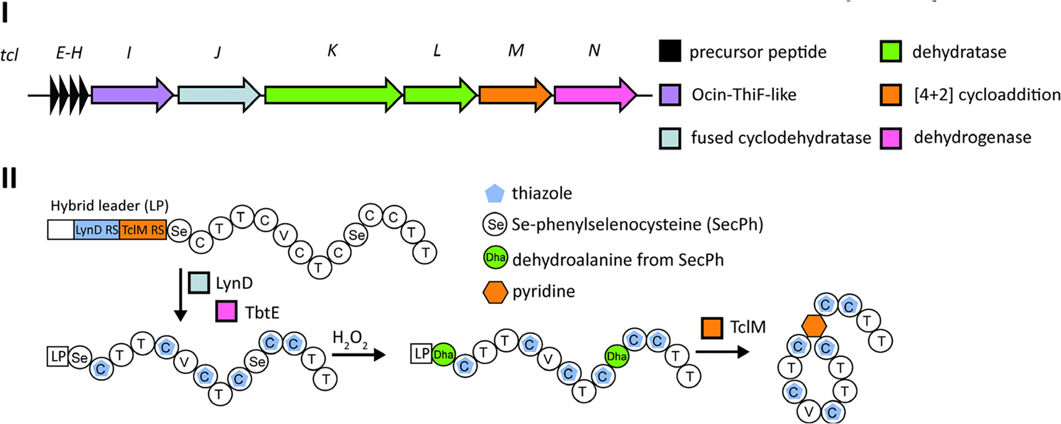Fig. 98.