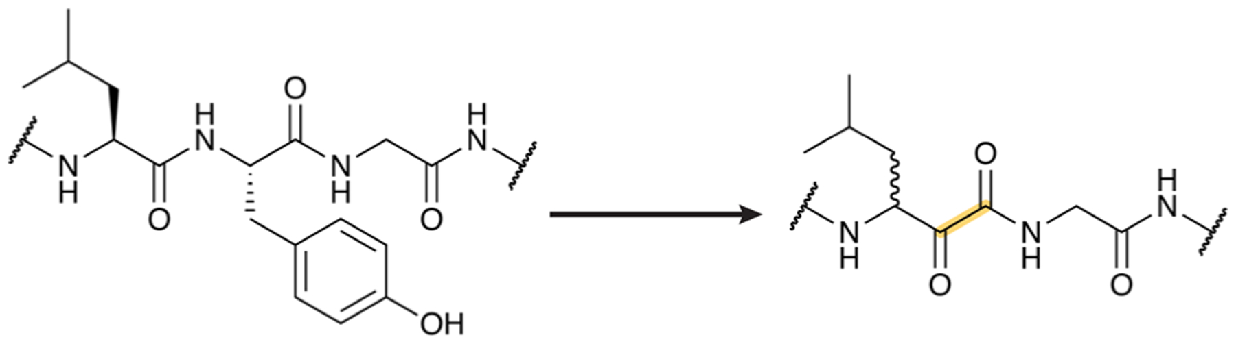 Fig. 13.