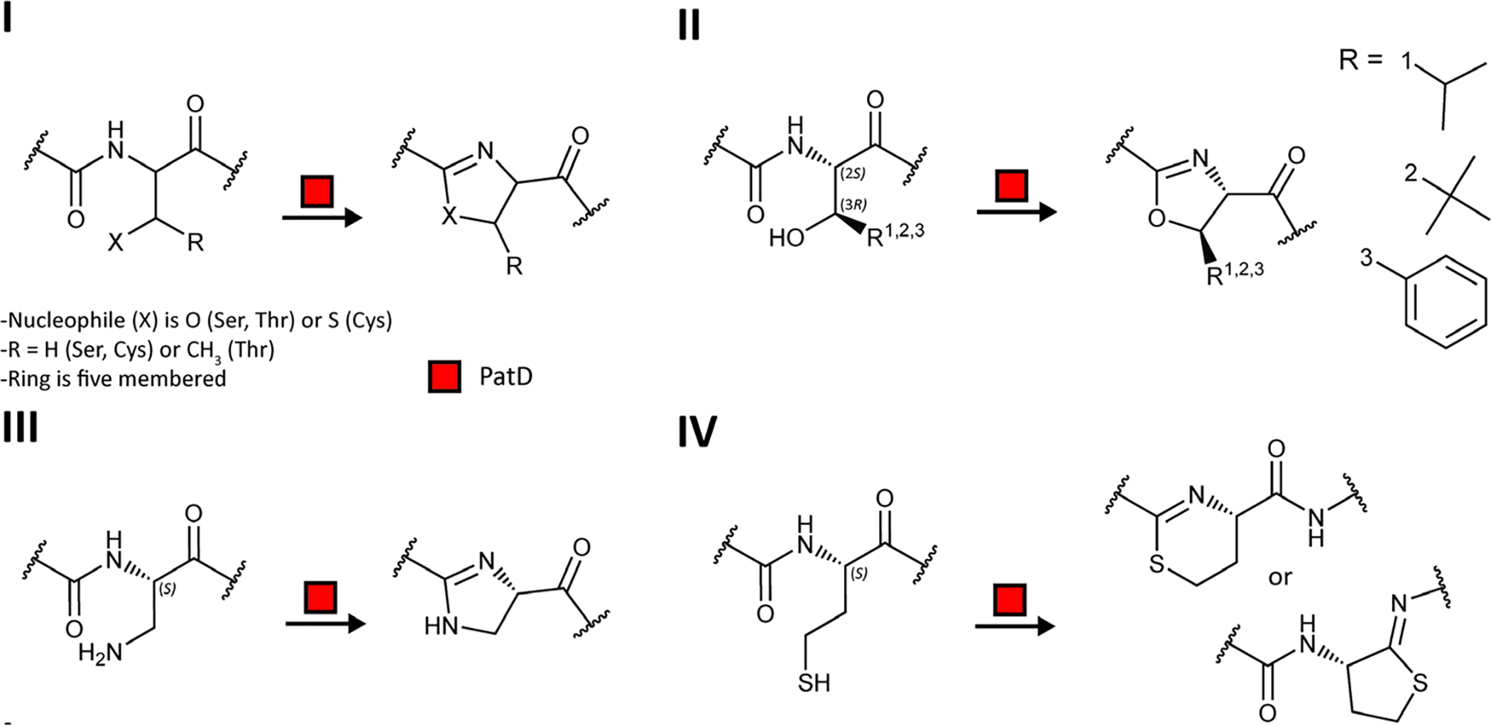 Fig. 96.