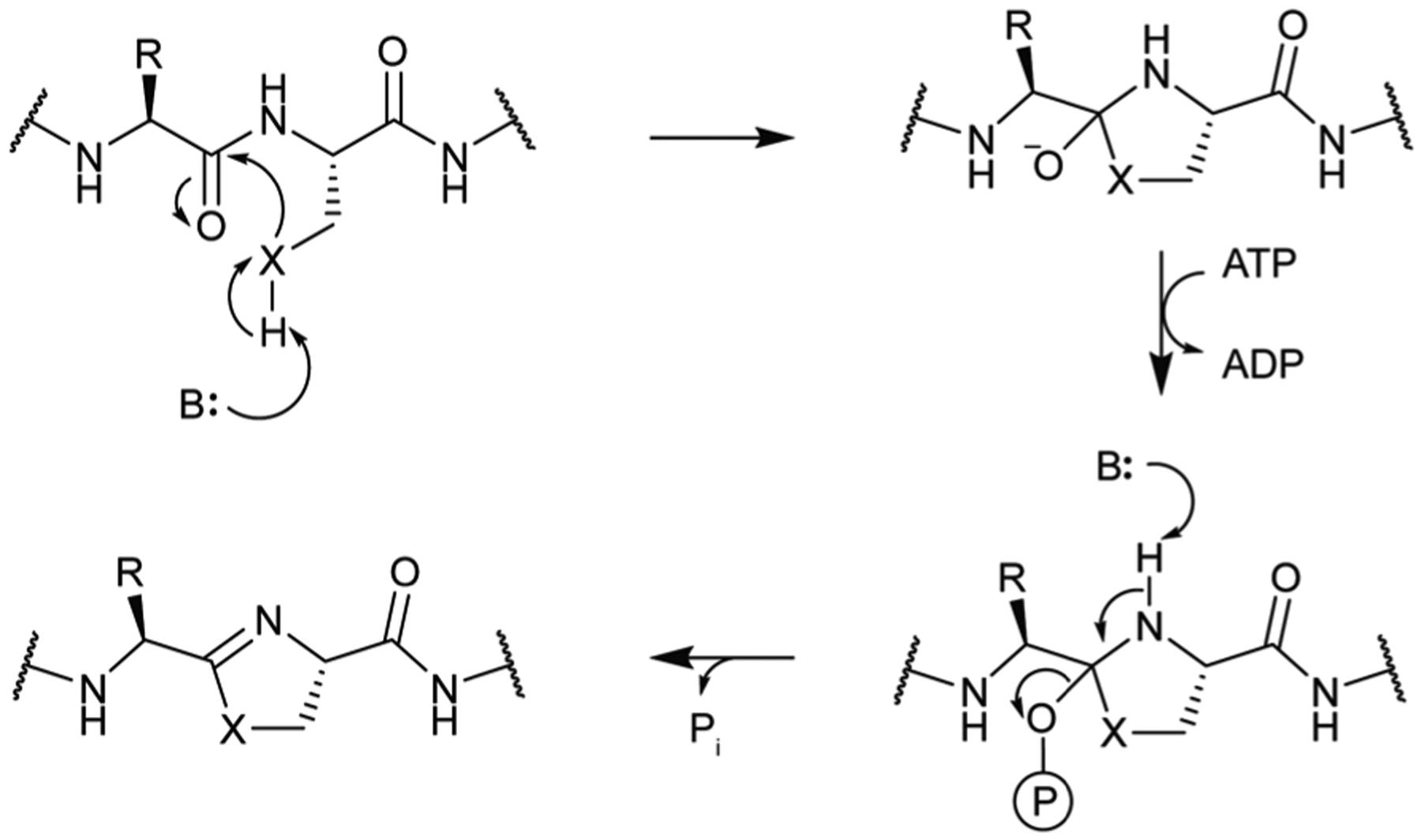 Fig. 29.
