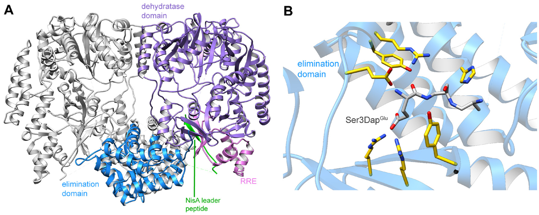 Fig. 20.