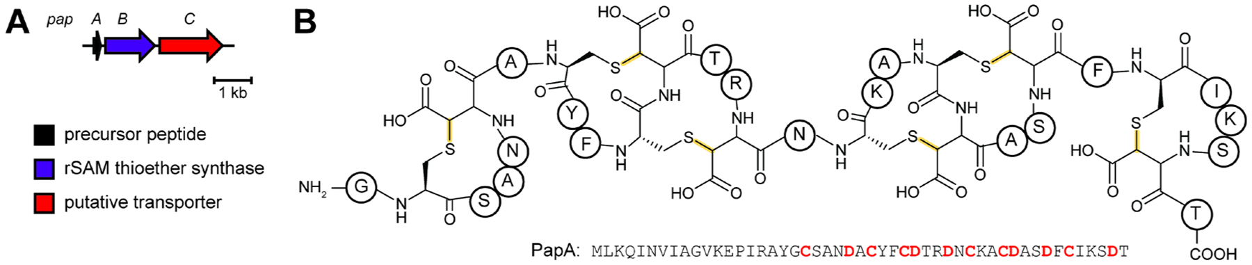 Fig. 42.