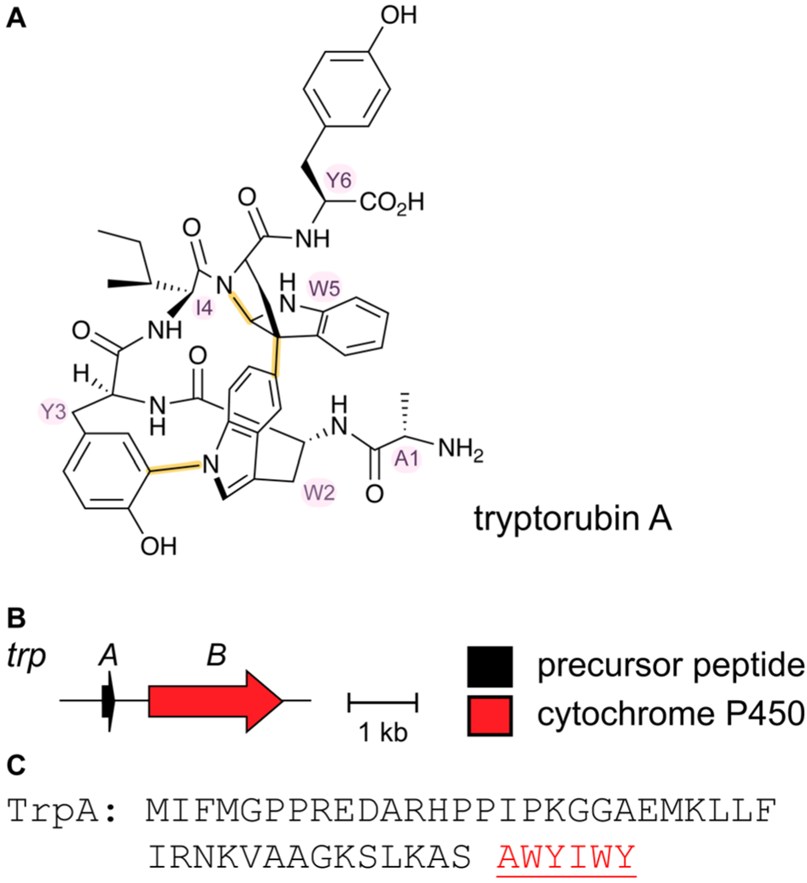 Fig. 17.
