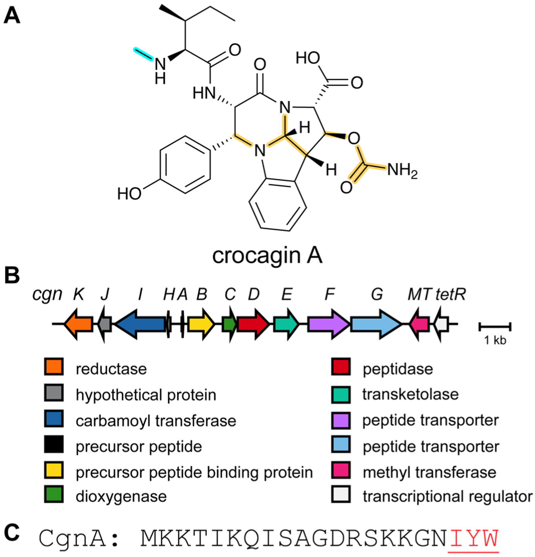 Fig. 8.