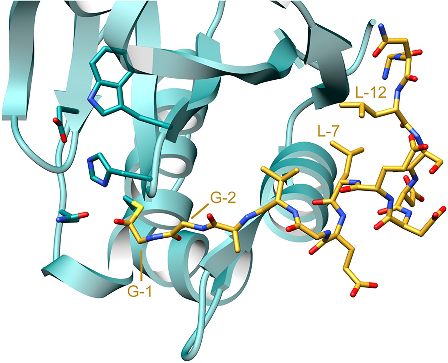 Fig. 76.