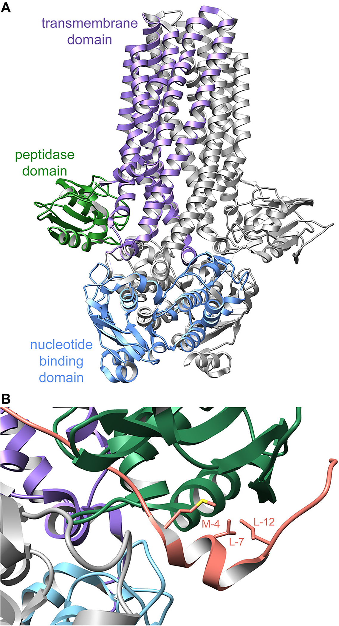 Fig. 75.