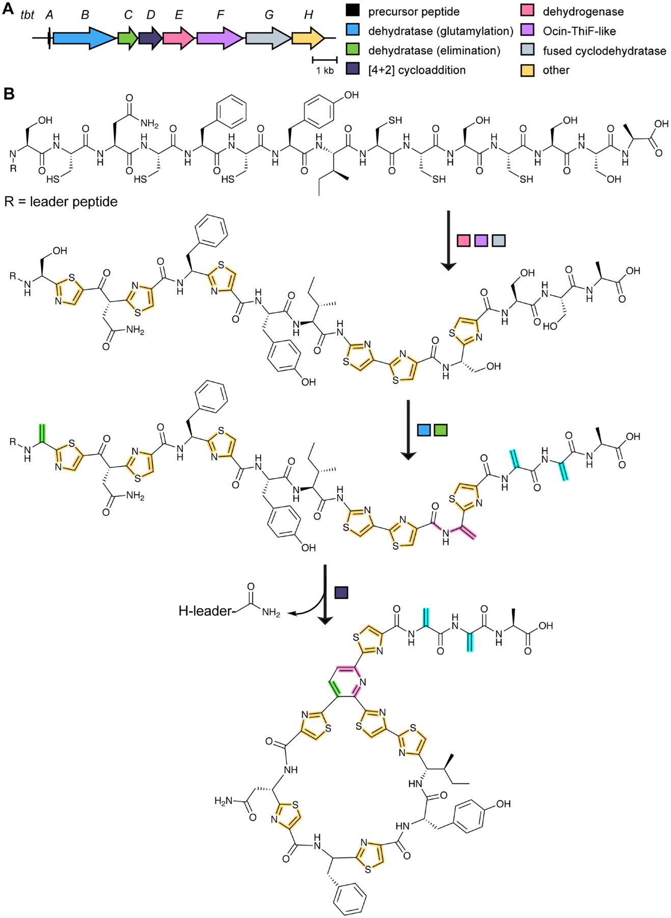 Fig. 24.