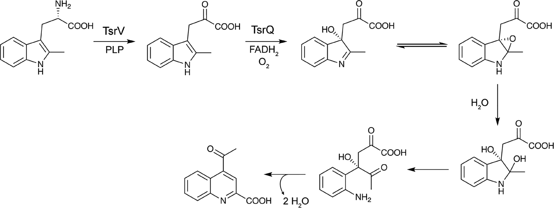 Fig. 91.