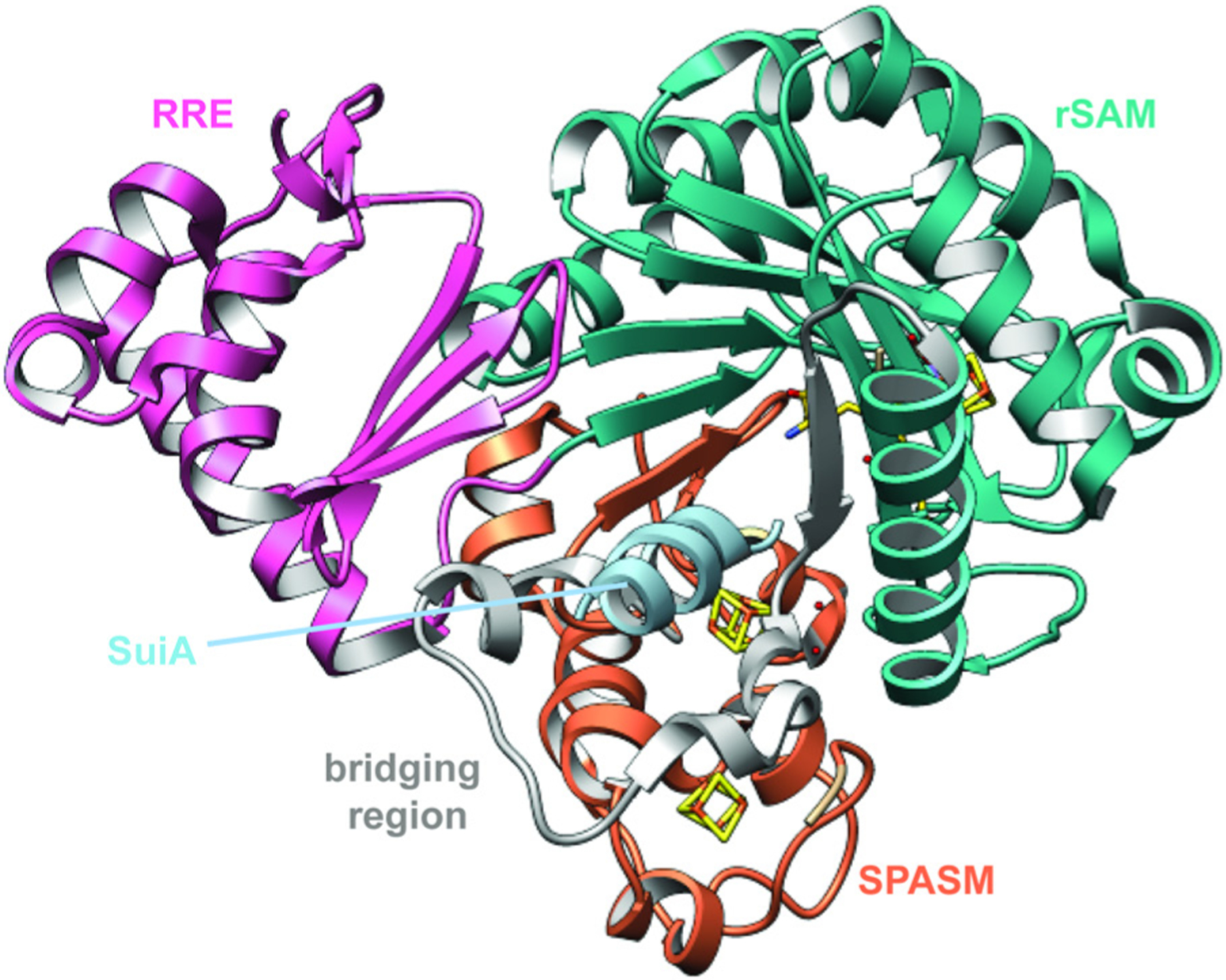 Fig. 46.