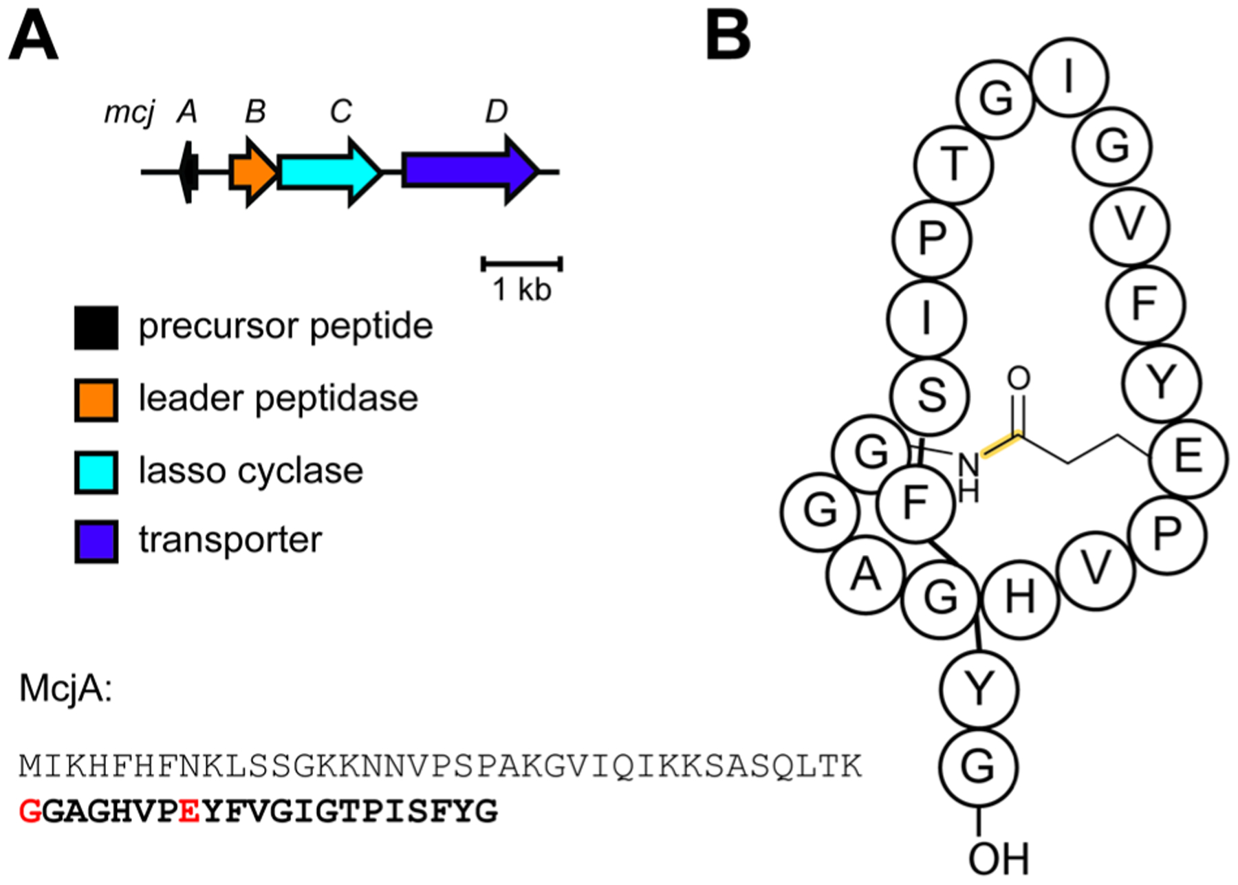 Fig. 38.