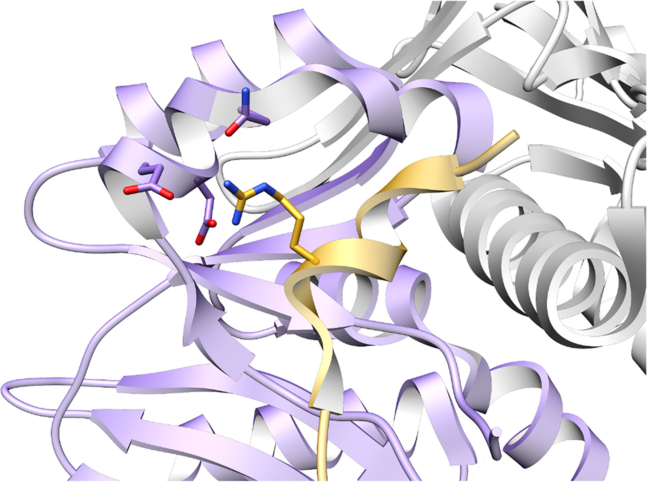Fig. 71.