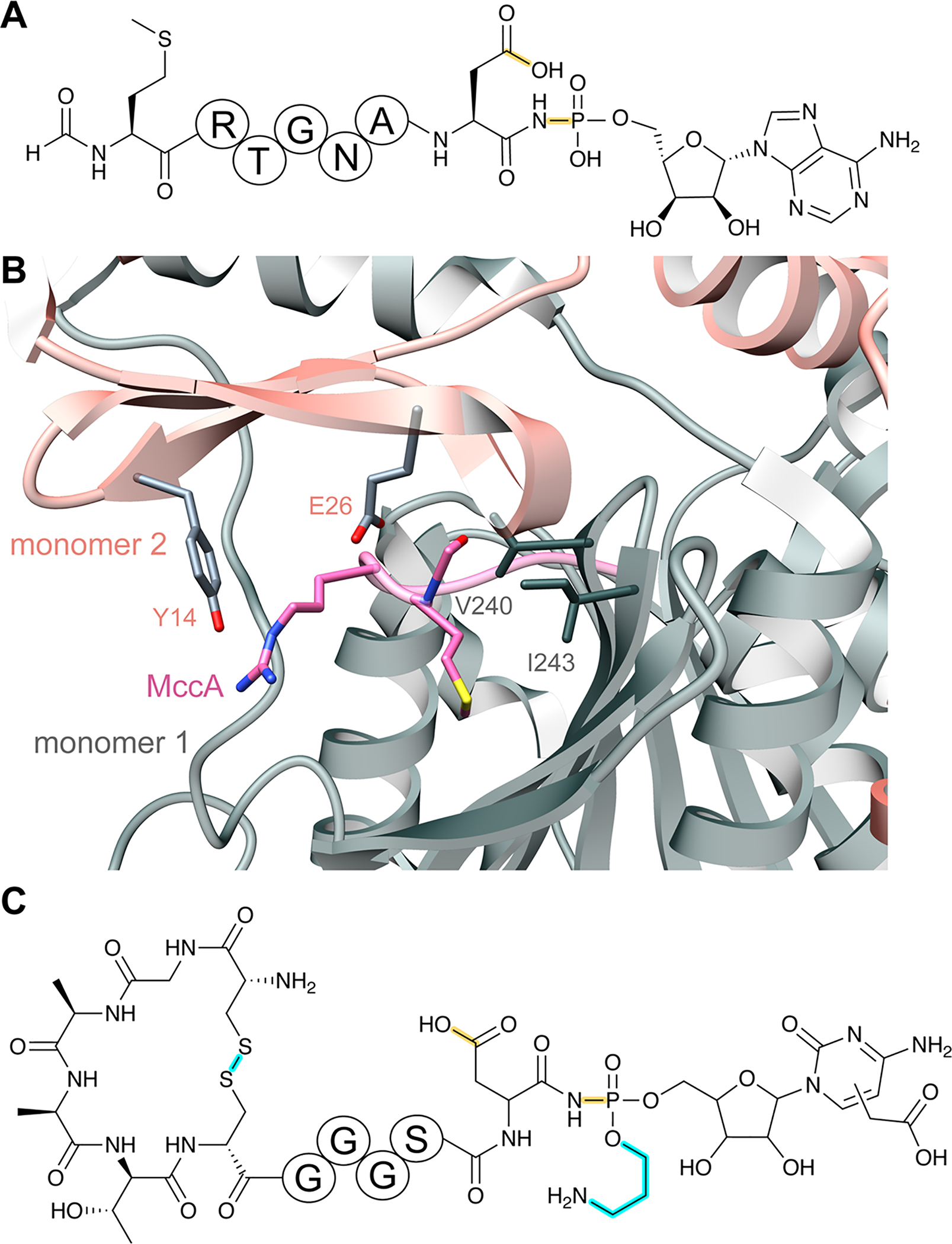 Fig. 73.
