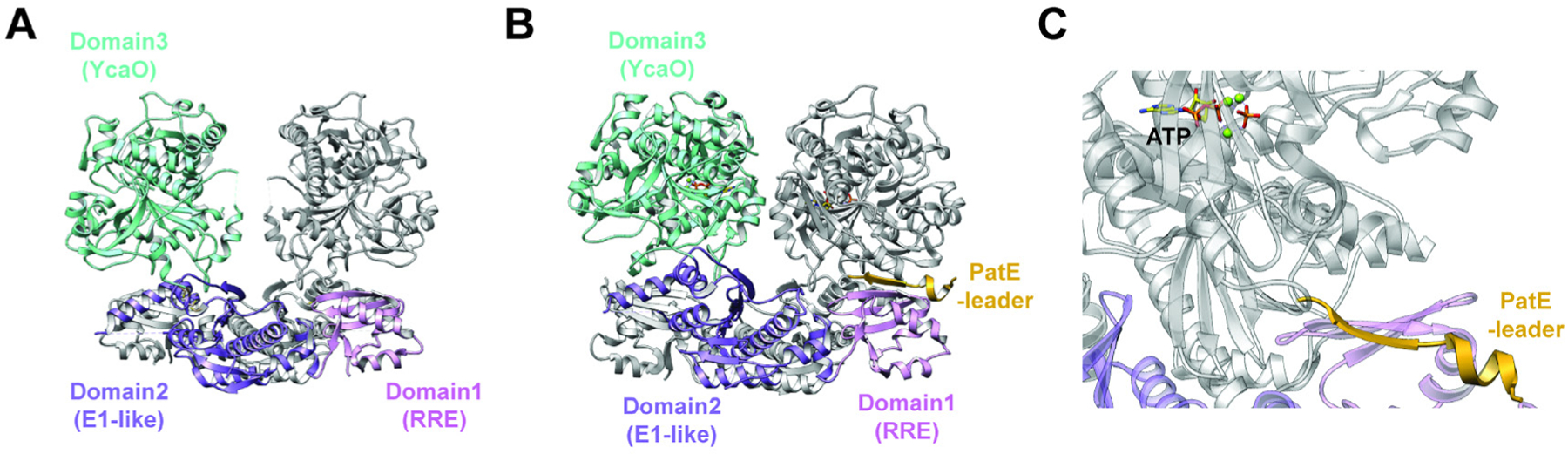 Fig. 30.