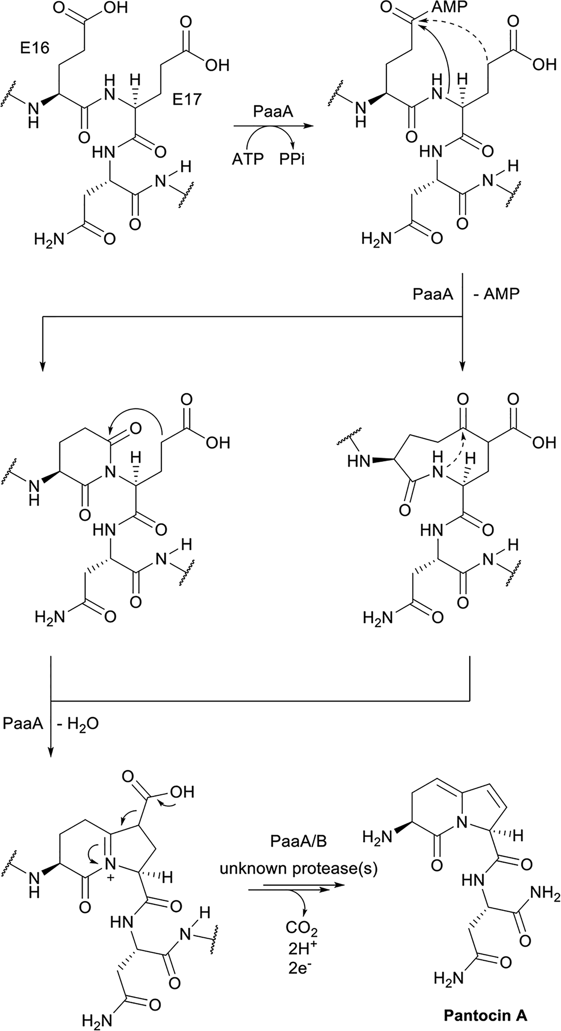 Fig. 62.