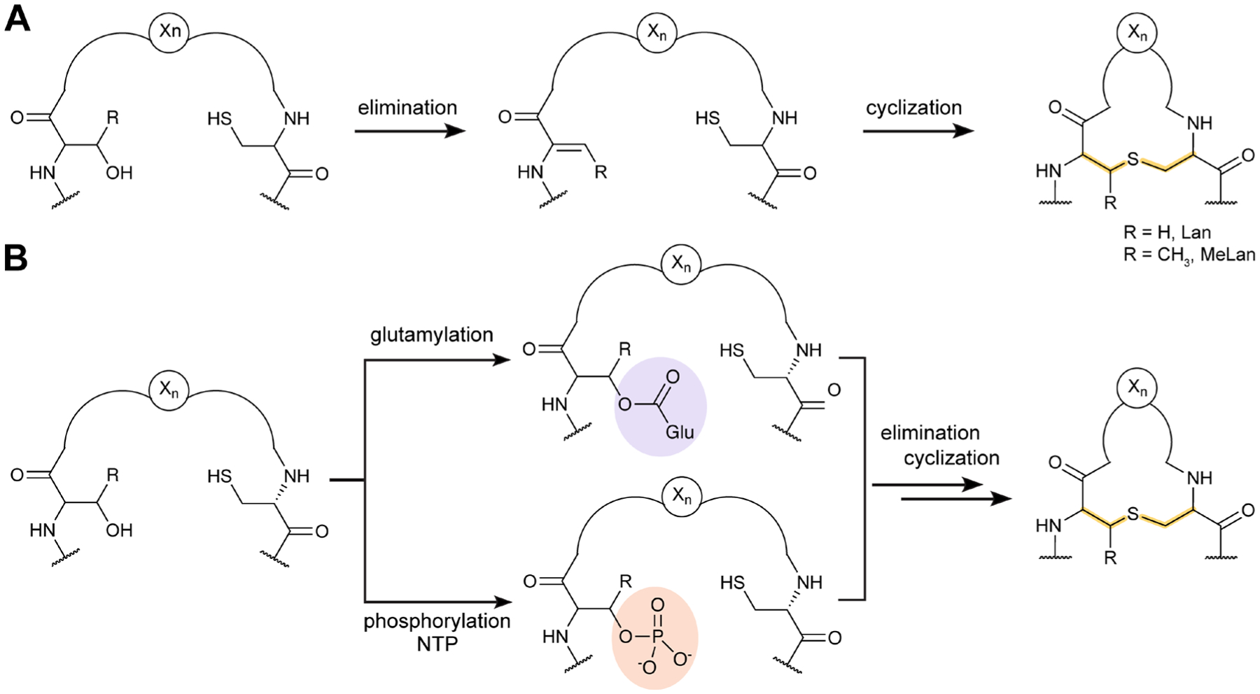 Fig. 19.