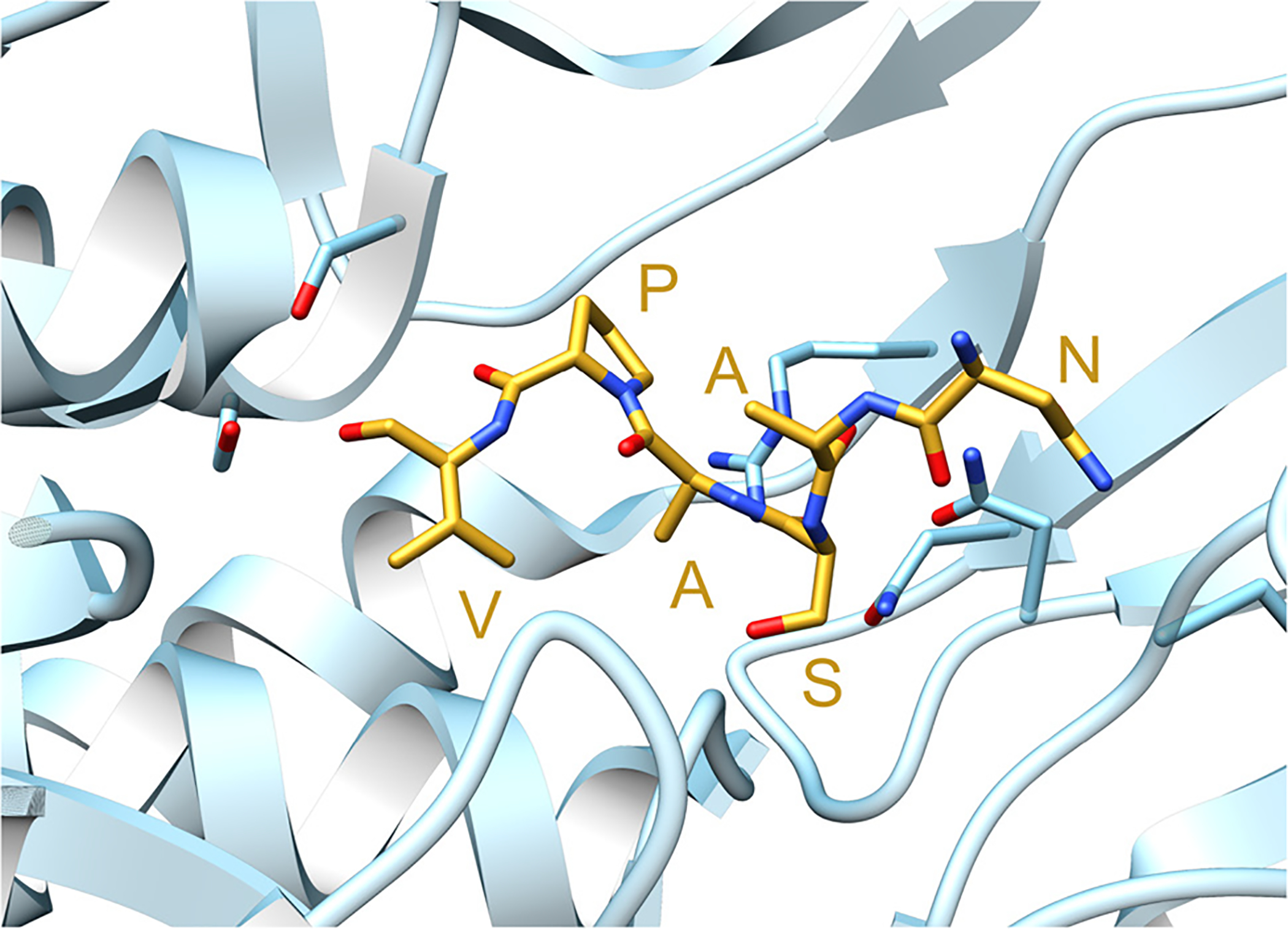 Fig. 74.