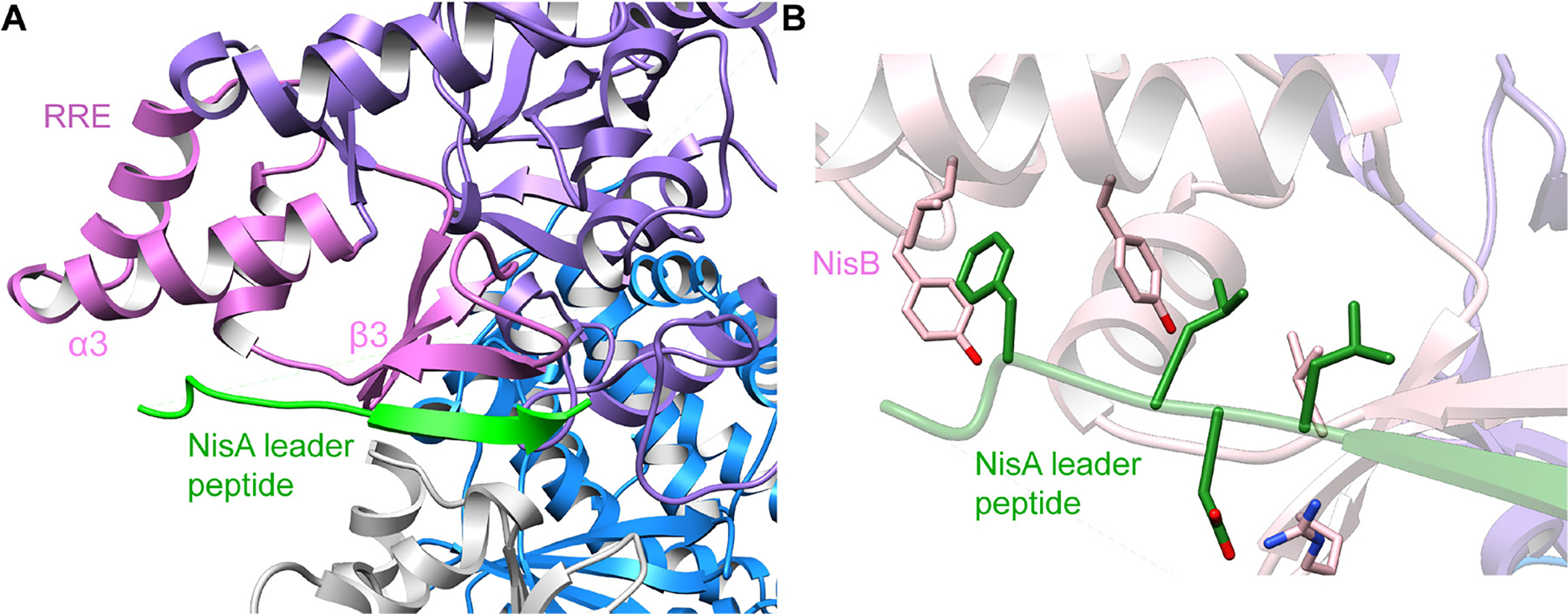Fig. 65.
