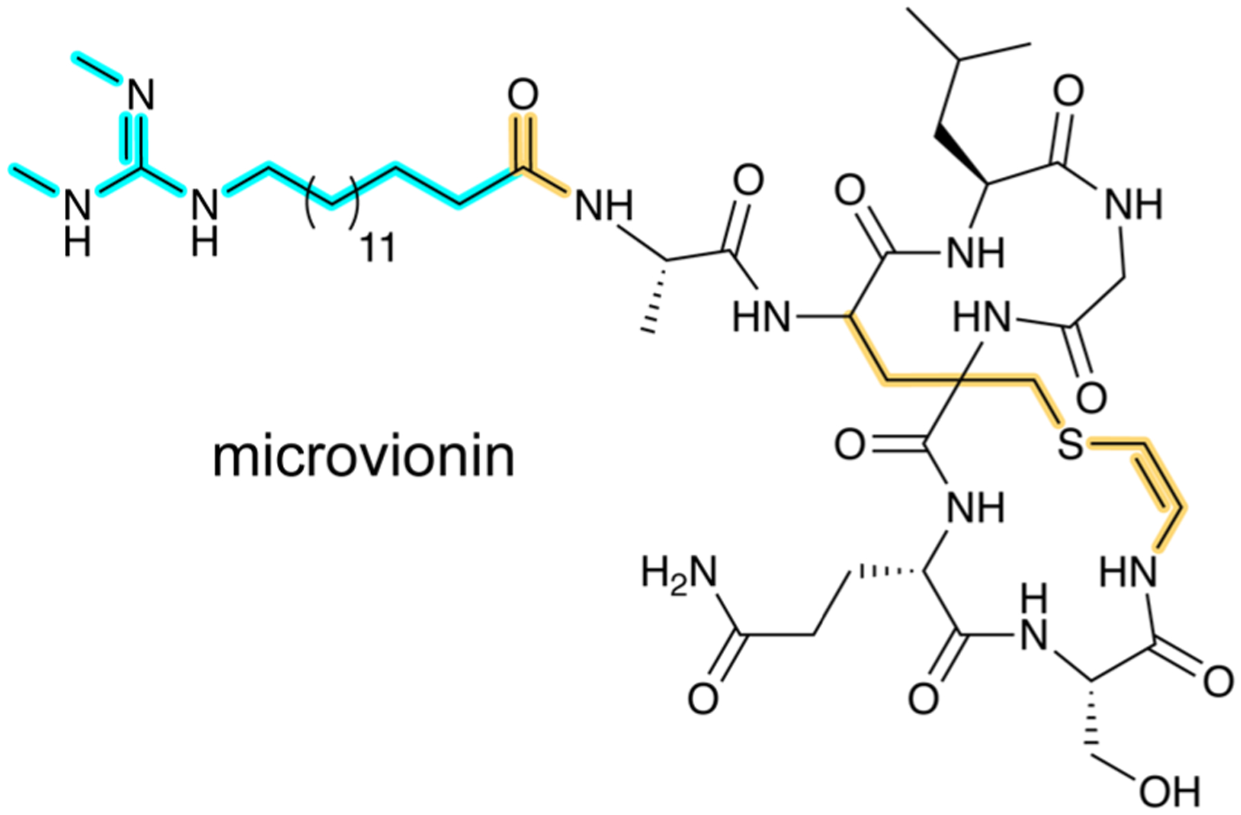 Fig. 11.