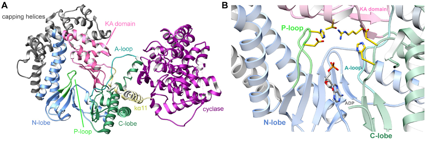 Fig. 21.