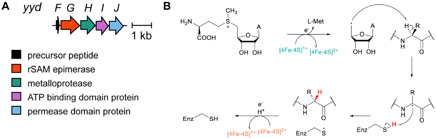 Fig. 49.
