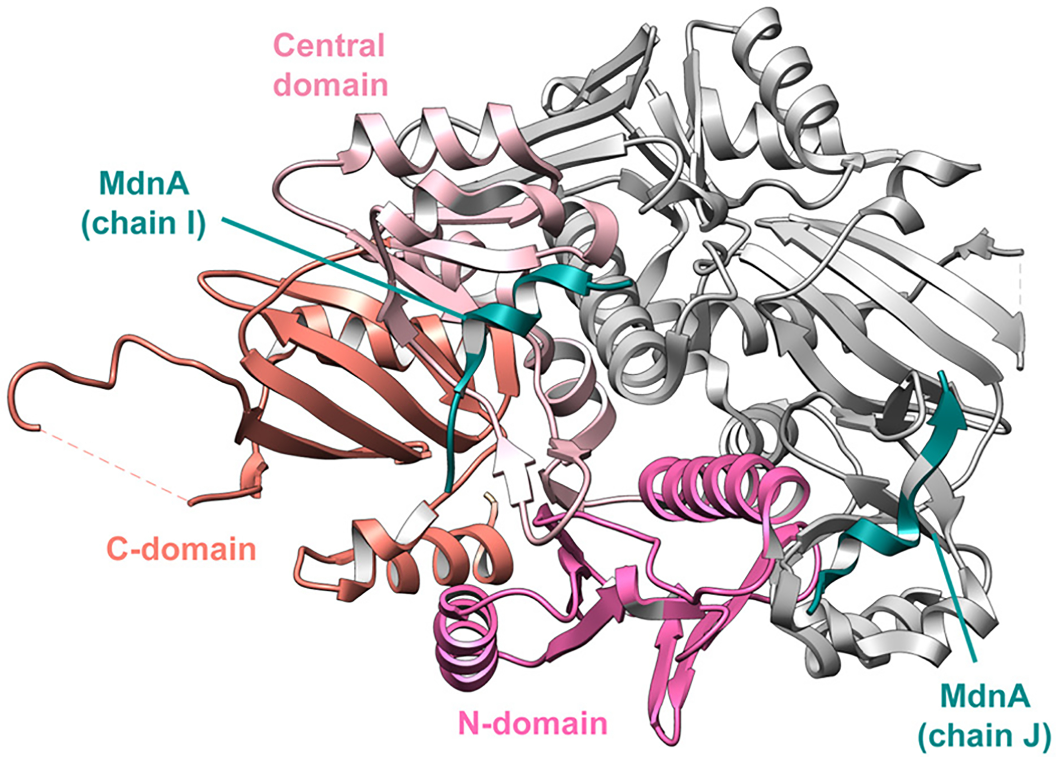 Fig. 52.