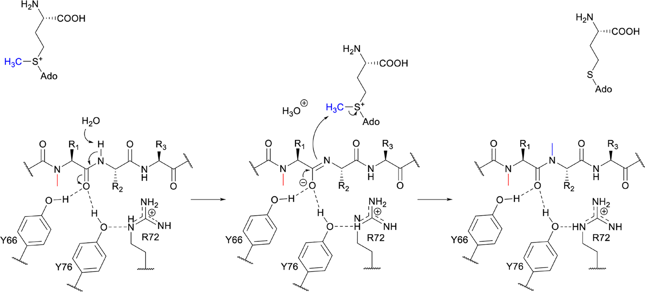 Fig. 54.