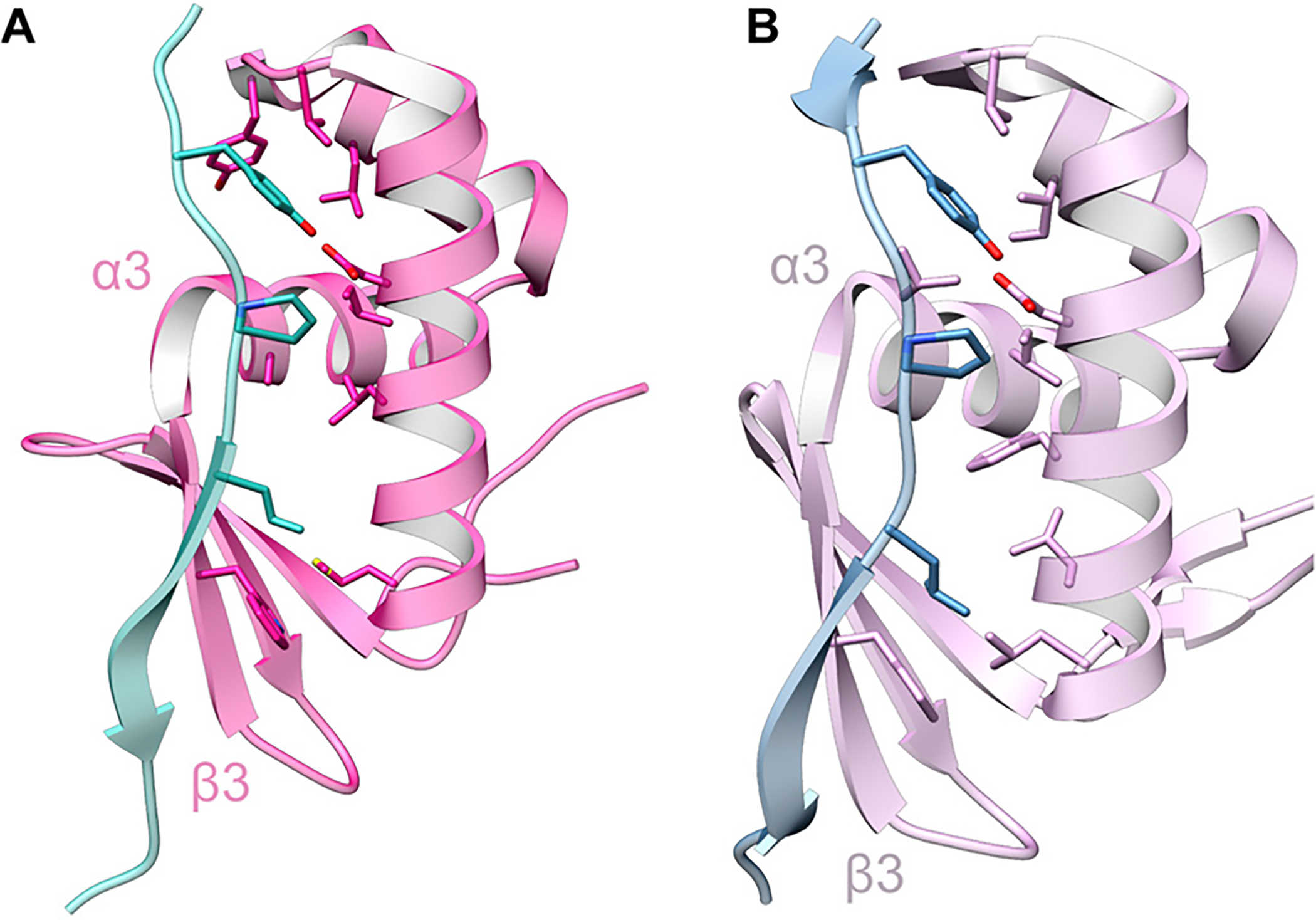 Fig. 68.